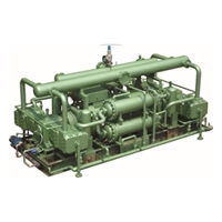 大排量、中高壓壓縮機